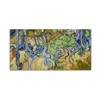 Trademark Fine Art Van Gogh 'Tree Roots' Canvas Art, 12x24 AA00606-C1224GG